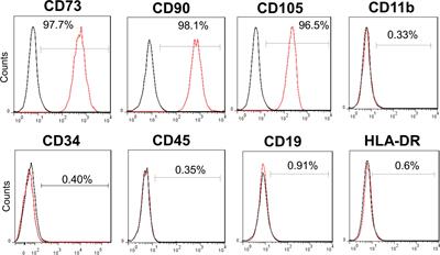 Mesenchymal stem cell therapy on top of triple therapy with remdesivir, dexamethasone, and tocilizumab improves PaO2/FiO2 in severe COVID-19 pneumonia